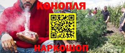 молекула духа Можга