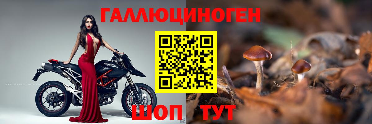 Псилоцибиновые грибы мухоморы  Галлюциногенные грибы Psilocybine cubensis  Ялуторовск  Вход с VPN 